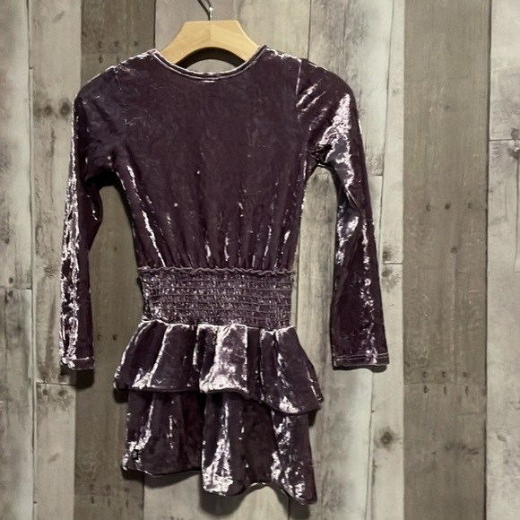 Pixie lane purple velvet dress size 5 - Picture 4 of 7
